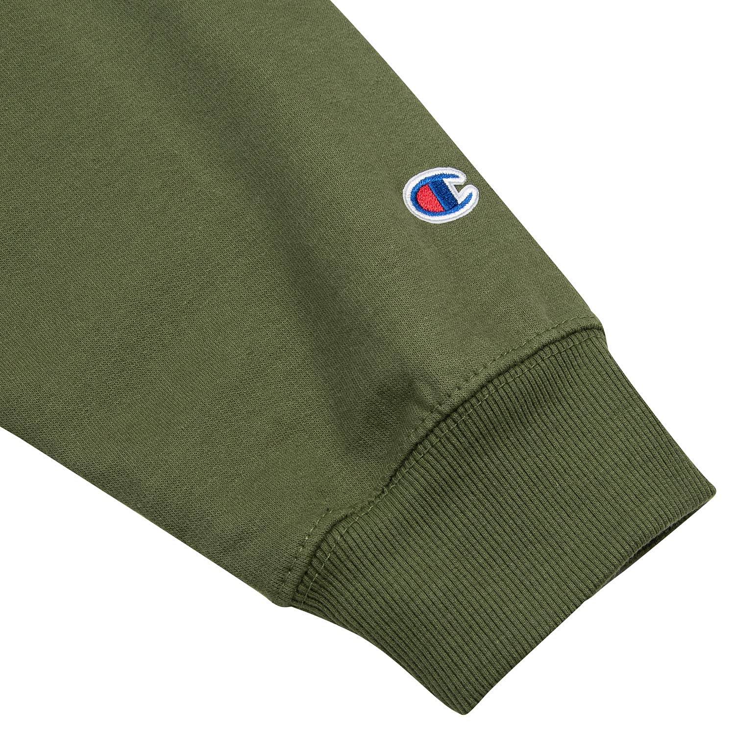 Champion big & on sale tall men's fleece sweatshirt